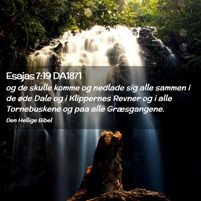 Picture 02 - Esajas 7:19 DA1871 - og de skulle komme og nedlade sig alle sammen i - Bible Verse Picture