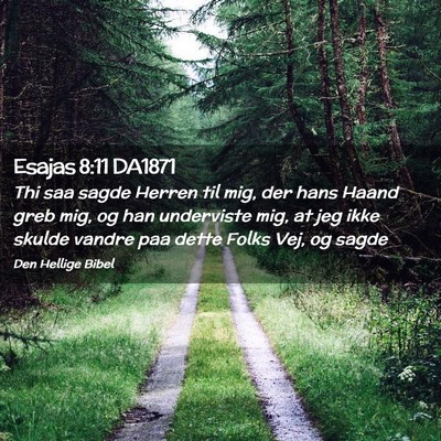 Picture 02 - Esajas 8:11 DA1871 - Thi saa sagde Herren til mig, der hans Haand greb - Bible Verse Picture