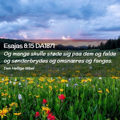 Picture 02 - Esajas 8:15 DA1871 - Og mange skulle støde sig paa dem og falde og - Bible Verse Picture
