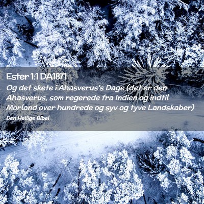 Picture 02 - Ester 1:1 DA1871 - Og det skete i Ahasverus's Dage (det er den - Bible Verse Picture