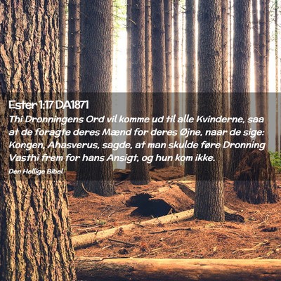 Picture 02 - Ester 1:17 DA1871 - Thi Dronningens Ord vil komme ud til alle - Bible Verse Picture