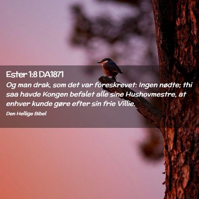 Picture 02 - Ester 1:8 DA1871 - Og man drak, som det var foreskrevet: Ingen - Bible Verse Picture