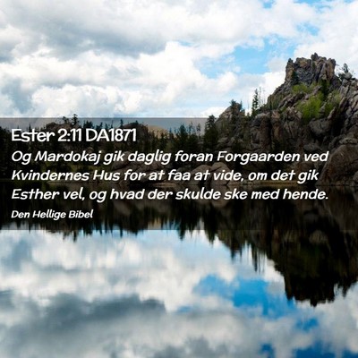 Picture 02 - Ester 2:11 DA1871 - Og Mardokaj gik daglig foran Forgaarden ved - Bible Verse Picture