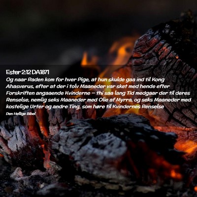 Picture 02 - Ester 2:12 DA1871 - Og naar Raden kom for hver Pige, at hun skulde - Bible Verse Picture