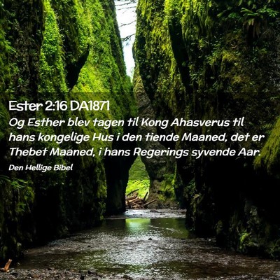 Picture 02 - Ester 2:16 DA1871 - Og Esther blev tagen til Kong Ahasverus til hans - Bible Verse Picture