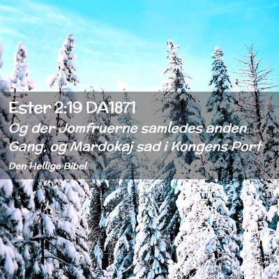 Picture 02 - Ester 2:19 DA1871 - Og der Jomfruerne samledes anden Gang, og - Bible Verse Picture