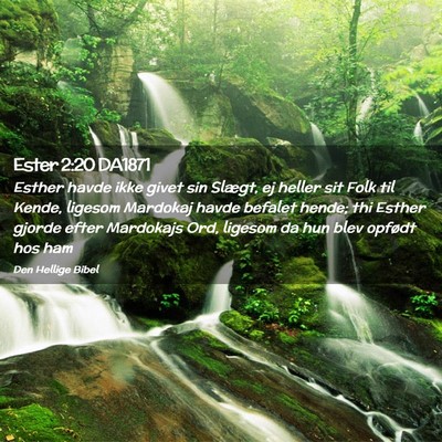 Picture 02 - Ester 2:20 DA1871 - Esther havde ikke givet sin Slægt, ej heller sit - Bible Verse Picture