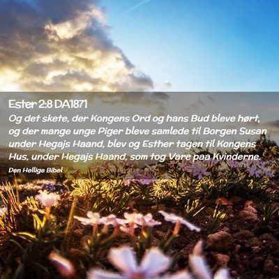 Picture 02 - Ester 2:8 DA1871 - Og det skete, der Kongens Ord og hans Bud bleve - Bible Verse Picture