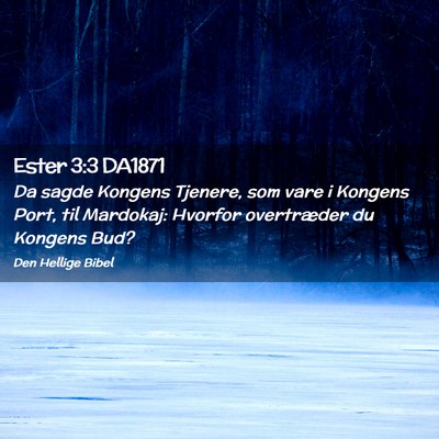 Picture 02 - Ester 3:3 DA1871 - Da sagde Kongens Tjenere, som vare i Kongens - Bible Verse Picture