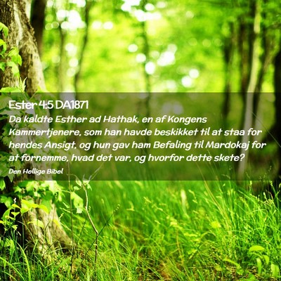 Picture 02 - Ester 4:5 DA1871 - Da kaldte Esther ad Hathak, en af Kongens - Bible Verse Picture