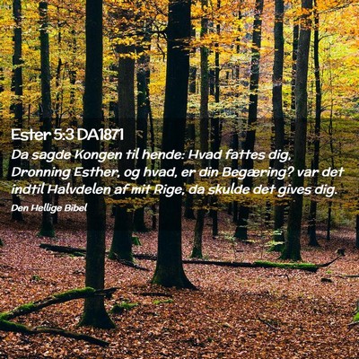 Picture 02 - Ester 5:3 DA1871 - Da sagde Kongen til hende: Hvad fattes dig, - Bible Verse Picture