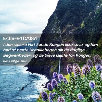 Picture 02 - Ester 6:1 DA1871 - I den samme Nat kunde Kongen ikke sove, og han - Bible Verse Picture