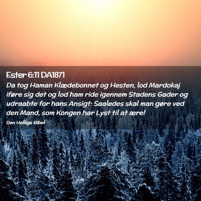 Picture 02 - Ester 6:11 DA1871 - Da tog Haman Klædebonnet og Hesten, lod Mardokaj - Bible Verse Picture