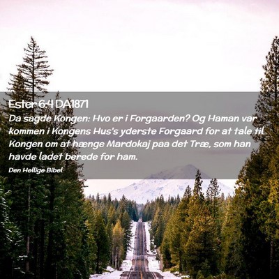 Picture 02 - Ester 6:4 DA1871 - Da sagde Kongen: Hvo er i Forgaarden? Og Haman - Bible Verse Picture