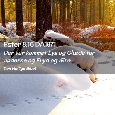 Picture 02 - Ester 8:16 DA1871 - Der var kommet Lys og Glæde for Jøderne og Fryd - Bible Verse Picture