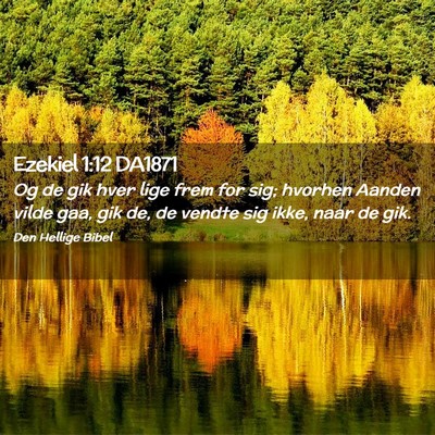 Picture 02 - Ezekiel 1:12 DA1871 - Og de gik hver lige frem for sig; hvorhen Aanden - Bible Verse Picture