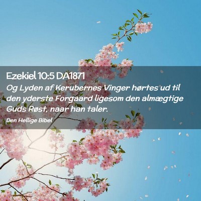 Picture 02 - Ezekiel 10:5 DA1871 - Og Lyden af Kerubernes Vinger hørtes ud til den - Bible Verse Picture