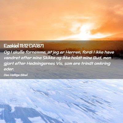 Picture 02 - Ezekiel 11:12 DA1871 - Og I skulle fornemme, at jeg er Herren, fordi I - Bible Verse Picture