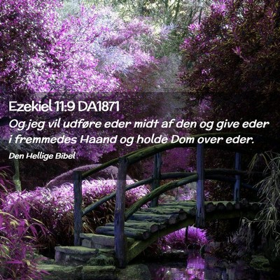 Picture 02 - Ezekiel 11:9 DA1871 - Og jeg vil udføre eder midt af den og give eder - Bible Verse Picture