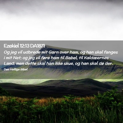 Picture 02 - Ezekiel 12:13 DA1871 - Og jeg vil udbrede mit Garn over ham, og han skal - Bible Verse Picture