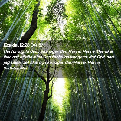 Picture 02 - Ezekiel 12:28 DA1871 - Derfor sig til dem: Saa siger den Herre, Herre: - Bible Verse Picture