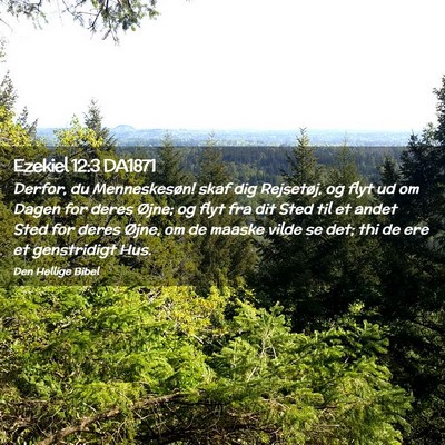 Picture 02 - Ezekiel 12:3 DA1871 - Derfor, du Menneskesøn! skaf dig Rejsetøj, og - Bible Verse Picture