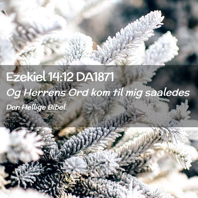 Picture 02 - Ezekiel 14:12 DA1871 - Og Herrens Ord kom til mig - Bible Verse Picture