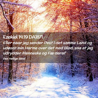 Picture 02 - Ezekiel 14:19 DA1871 - Eller naar jeg sender Pest i det samme Land og - Bible Verse Picture