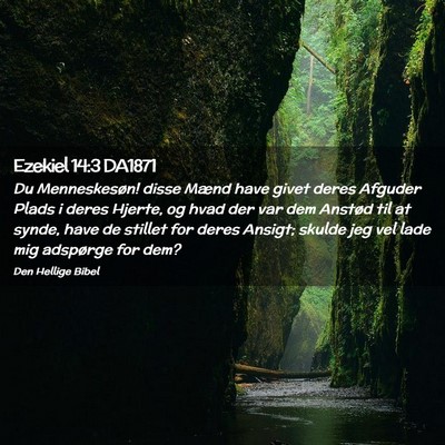 Picture 02 - Ezekiel 14:3 DA1871 - Du Menneskesøn! disse Mænd have givet deres - Bible Verse Picture