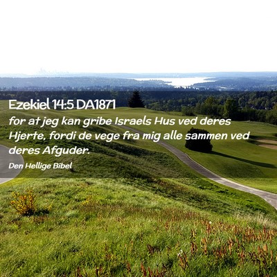 Picture 02 - Ezekiel 14:5 DA1871 - for at jeg kan gribe Israels Hus ved deres - Bible Verse Picture