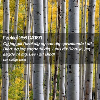 Picture 02 - Ezekiel 16:6 DA1871 - Og jeg gik forbi dig og saa dig sprællende i dit - Bible Verse Picture