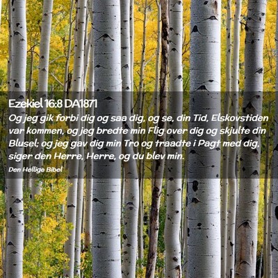 Picture 02 - Ezekiel 16:8 DA1871 - Og jeg gik forbi dig og saa dig, og se, din Tid, - Bible Verse Picture