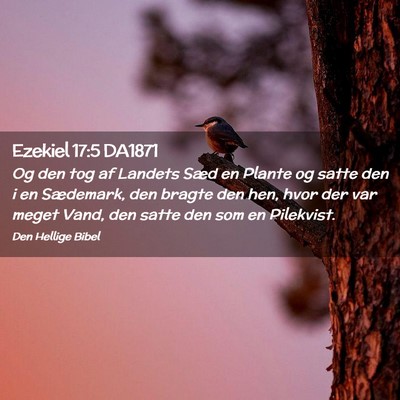 Picture 02 - Ezekiel 17:5 DA1871 - Og den tog af Landets Sæd en Plante og satte den - Bible Verse Picture