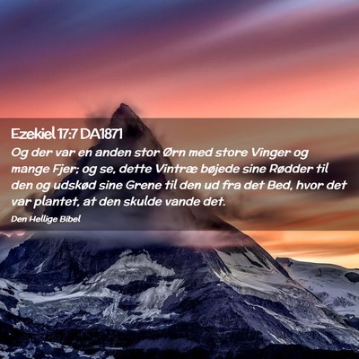 Picture 02 - Ezekiel 17:7 DA1871 - Og der var en anden stor Ørn med store Vinger og - Bible Verse Picture