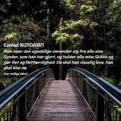 Picture 02 - Ezekiel 18:21 DA1871 - Men naar den ugudelige omvender sig fra alle sine - Bible Verse Picture