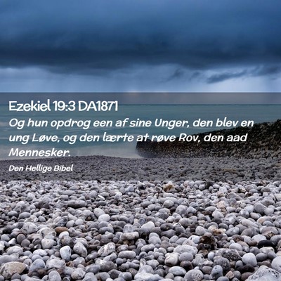 Picture 02 - Ezekiel 19:3 DA1871 - Og hun opdrog een af sine Unger, den blev en ung - Bible Verse Picture