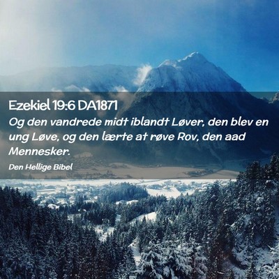 Picture 02 - Ezekiel 19:6 DA1871 - Og den vandrede midt iblandt Løver, den blev en - Bible Verse Picture