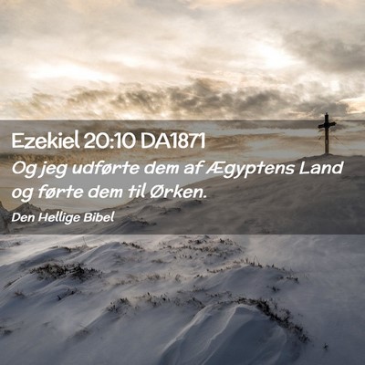 Picture 02 - Ezekiel 20:10 DA1871 - Og jeg udførte dem af Ægyptens Land og førte - Bible Verse Picture