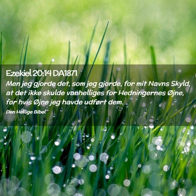 Picture 02 - Ezekiel 20:14 DA1871 - Men jeg gjorde det, som jeg gjorde, for mit Navns - Bible Verse Picture