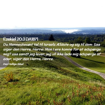 Picture 02 - Ezekiel 20:3 DA1871 - Du Menneskesøn! tal til Israels Ældste og sig - Bible Verse Picture