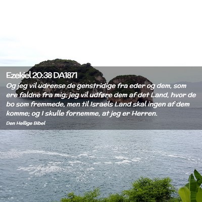 Picture 02 - Ezekiel 20:38 DA1871 - Og jeg vil udrense de genstridige fra eder og - Bible Verse Picture