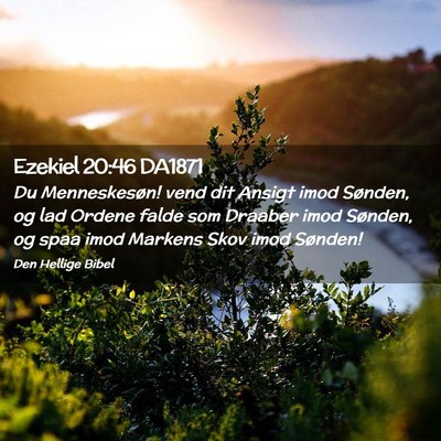 Picture 02 - Ezekiel 20:46 DA1871 - Du Menneskesøn! vend dit Ansigt imod Sønden, og - Bible Verse Picture