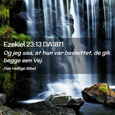 Picture 02 - Ezekiel 23:13 DA1871 - Og jeg saa, at hun var besmittet, de gik begge - Bible Verse Picture
