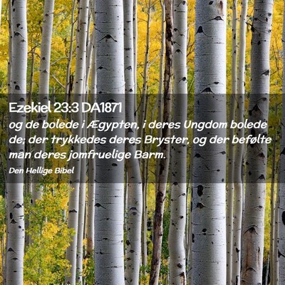 Picture 02 - Ezekiel 23:3 DA1871 - og de bolede i Ægypten, i deres Ungdom bolede - Bible Verse Picture