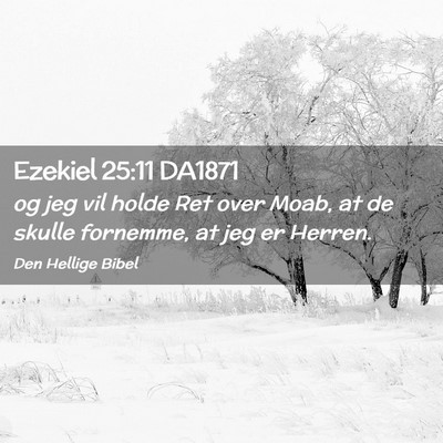 Picture 02 - Ezekiel 25:11 DA1871 - og jeg vil holde Ret over Moab, at de skulle - Bible Verse Picture