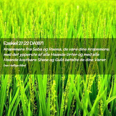 Picture 02 - Ezekiel 27:22 DA1871 - Kræmmere fra Seba og Raema, de vare dine - Bible Verse Picture