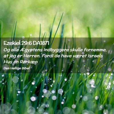 Picture 02 - Ezekiel 29:6 DA1871 - Og alle Ægyptens Indbyggere skulle fornemme, at - Bible Verse Picture