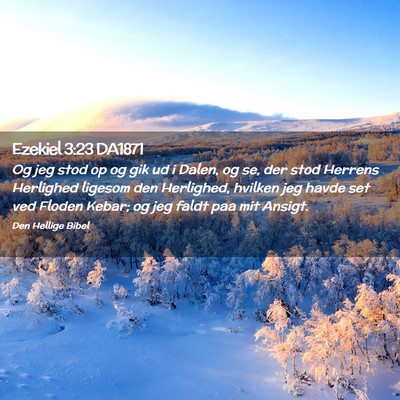 Picture 02 - Ezekiel 3:23 DA1871 - Og jeg stod op og gik ud i Dalen, og se, der stod - Bible Verse Picture
