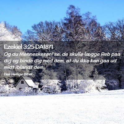 Picture 02 - Ezekiel 3:25 DA1871 - Og du Menneskesøn! se, de skulle lægge Reb paa - Bible Verse Picture