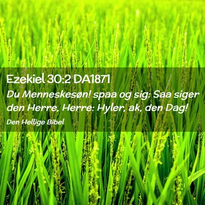 Picture 02 - Ezekiel 30:2 DA1871 - Du Menneskesøn! spaa og sig: Saa siger den - Bible Verse Picture